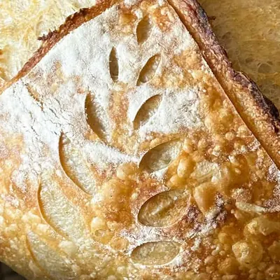 Close-up of wheat-leaf scoring on a floured sourdough crust